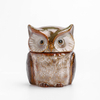 Porcelain Earthenware Owl Cookie Jar